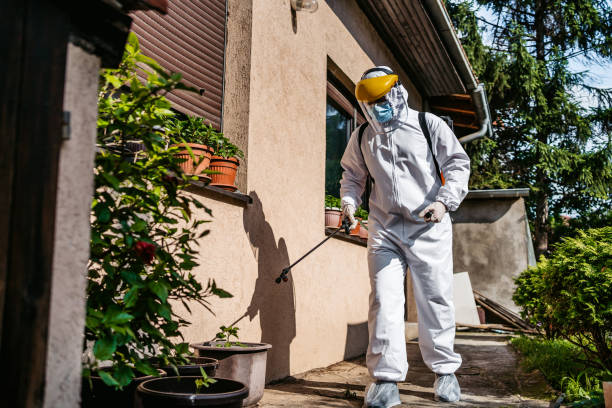 Best Local Pest Control Services  in Burlington, WI