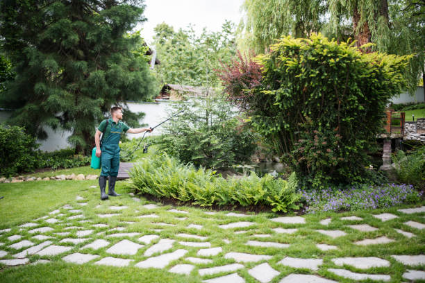 Best Ant Control Services  in Burlington, WI