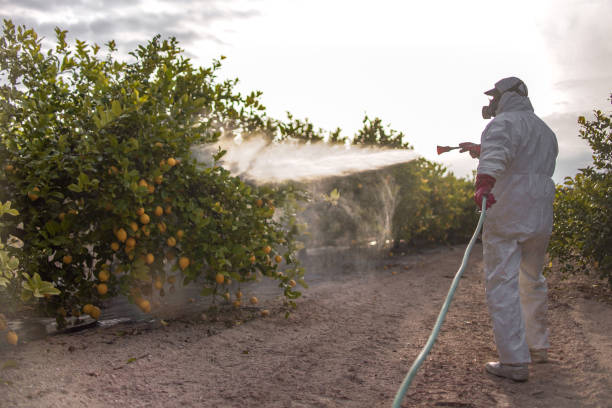 Best Insect Control  in Burlington, WI