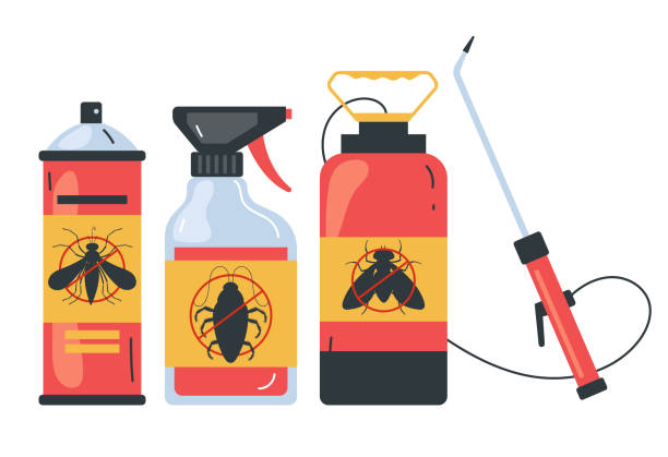 Best Termite Control Services  in Burlington, WI
