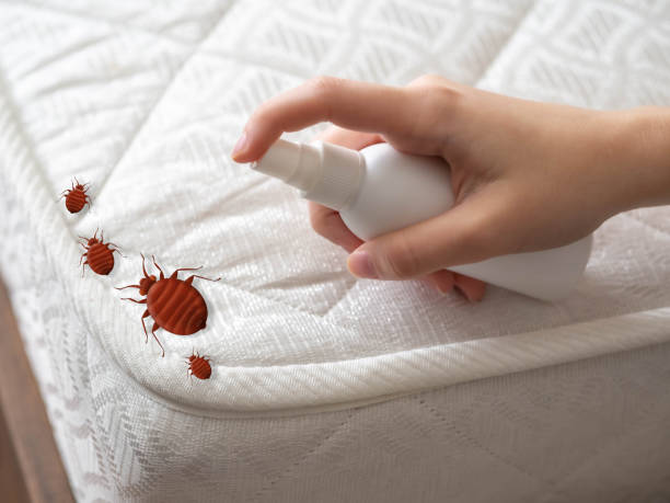 Trusted Burlington, WI Pest Control Experts