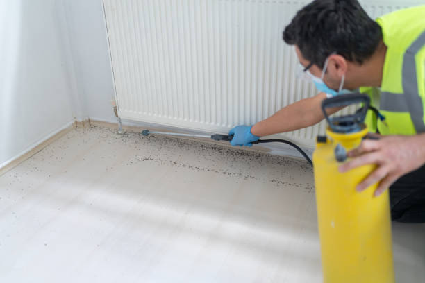 Best Commercial Pest Control Services  in Burlington, WI