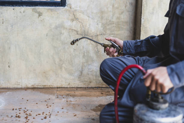 Best Affordable Pest Control Services  in Burlington, WI