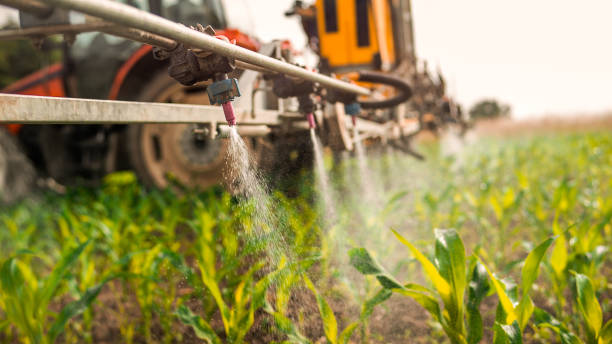 Best Pest Control for Businesses  in Burlington, WI