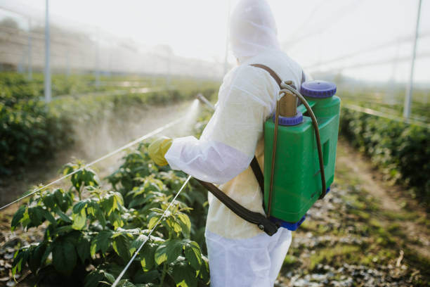 Best Wasp Removal Services  in Burlington, WI